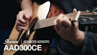 Ibanez AAD300CE featuring David Sehling