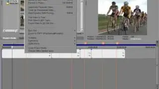 Vegas Script - Export Snapshot at Markers 소개