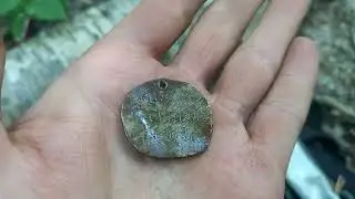 Царская дорога Коп в лесу с металлоискателем