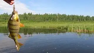 Рыбалка 26.05.2024 полная версия.