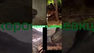 Битва маленьких, Велоцираптор vs дилофозавр vs ютараптор vs дейноних
