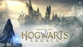 Bem-vindo a Lufa Lufa!!  | Hogwarts Legacy #1