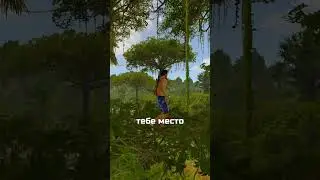 БАГ С ЛИАНАМИ В ДЖУНГЛЯХ в RUST / РАСТ