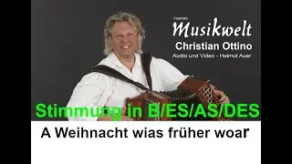 A Weihnacht wias früher woar - 2. Lernvideo - Musikwelt - Christian Ottino & Heli Auer (c) 2021