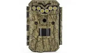 FOTOPASCA KEEPGUARD KG795W - Diviak lesný (nočný záber)
