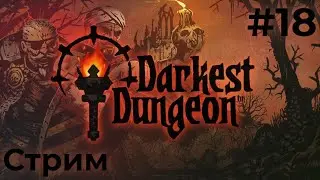 Играем в Darkest Dungeon (06/01/24)