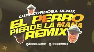 EL PERRO PIERDE LA MAÑA  REMIX 😂 (Remix Randon) LUIS CORDOBA REMIX.