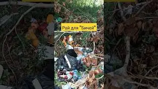 Рай для "Бичей"
