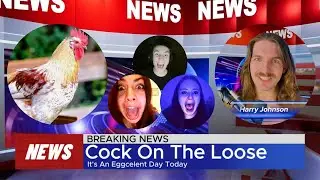 BREAKING NEWS: Cock On The Loose