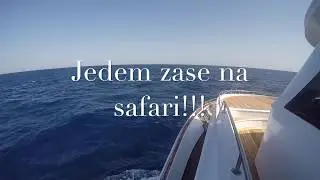 Egypt   safari 2018