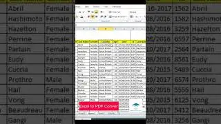 Excel to PDF convert