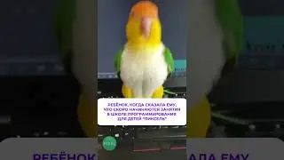 Ребенок, когда узнал, что начинаются занятия в “ПИКСЕЛЬ”