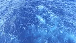 pacific water
