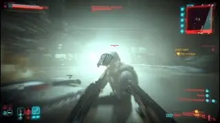 That moment you sandevistan