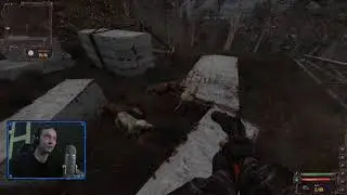 Stalker: Lost alpha. #1