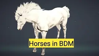 Ловим лошадей, быстрый гайд // Black Desert Mobile