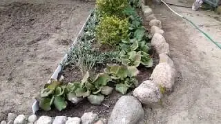 Сайдинг и клейкая лента ,,окультурили,, участок сада