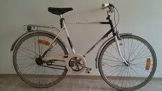 Linkin Park and Rasta Bike