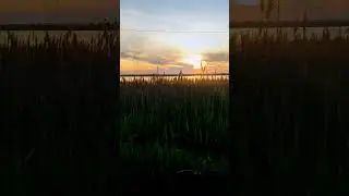 Красоты Белосарайской Косы (под Мариуполем)