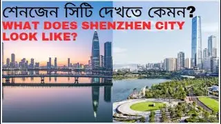 What does Shenzhen City look like? I শেনজেন সিটি দেখতে কেমন?