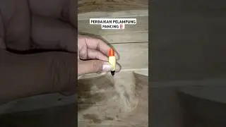 Yang hobi mancing udah paham pasti #shortsvideo #trendingshorts #fypシ゚viral