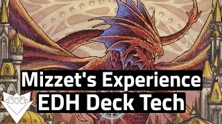 Niv-Mizzet's Experience | Commander (EDH) Deck Tech | Niv-Mizzet Reborn