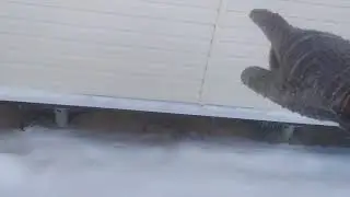 Ну как сделать фальшпол???????