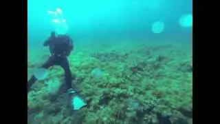 Buceo en El Toro1