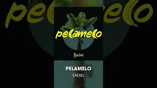 🍌Pelamelo🍌 Estreno Mundial #miami #miamimusic #music #musica #música #lamusica #lamusicahacebien