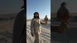 Out in the Middle East (Doha, Qatar)