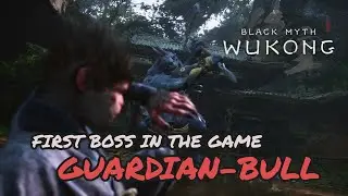 WUKONG - first fight with the boss, starting easy to learn #wukong #wukongblackmyth