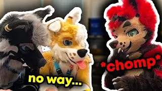 STOP EATING THE LEGOS | (Weekly Furry Stream Highlights #15)