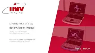 Mindray Vetus E7: How to Review and Export Images