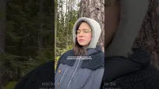 Я не мою собаке лапы 