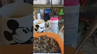 Ингредиенты для джина через джин корзину.