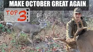 Top 3 Ways to Make October Whitetail Hunting Great!