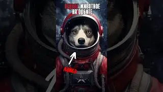 Космическая гонка США и СССР (Основные события) #космос #история #ссср