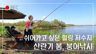 #붕어낚시 ep. 61 그림같은 저수지에서 힐링하며 차대고 바로 챔질하기  #산란기  #피싱메이비 #저수지낚시 #잉어낚시 #민물낚시 #소류지낚시 #부부취미 #인스타360  #드론
