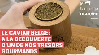 Le caviar belge | Je t'emmène manger | Episode 30