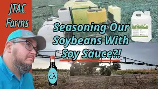 Soy Sauce on Soy Beans?!