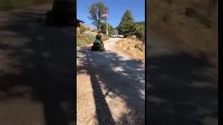 Bella Driving