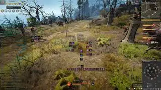 Stealth style ninja