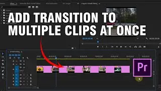 How To Add Transition To Multiple Clips At Once - Adobe Premiere Pro