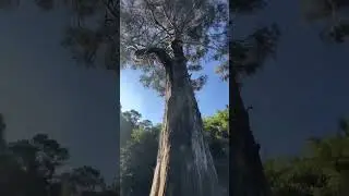 Subiendo el cerro de Monserrate 