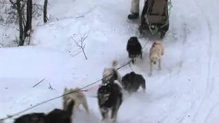 Iditarod 2011-Corral Hill--Kelly Maixner
