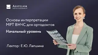 Основы интерпретации МРТ ВНЧС для ортодонтов. Начальный уровень