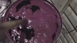 Домашнее вино из винограда или как сделать домашнее вино