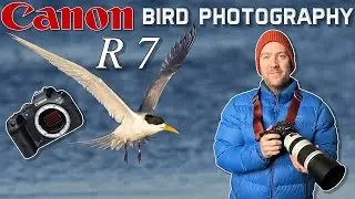Canon R7 Seabird Photography: Success & Fail at the same time?!