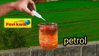 petrol vs favikwik