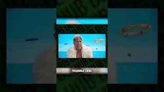 ЗАПАС СЛОВ У ПОЛЬЗОВАТЕЛЕЙ ГУГЛ ПЛЕЙ